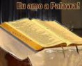 COMPONENTES